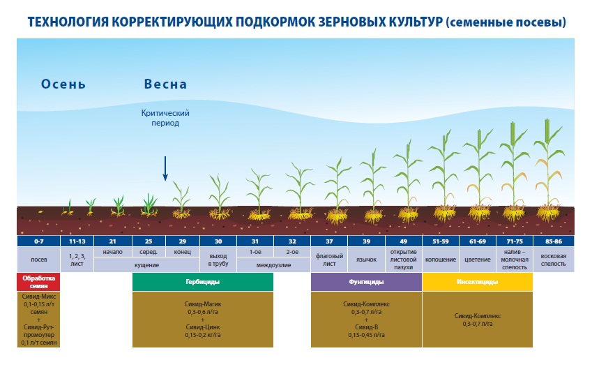 Август схема защиты зерновых