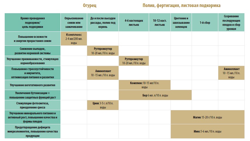 Схема подкормки огурцов