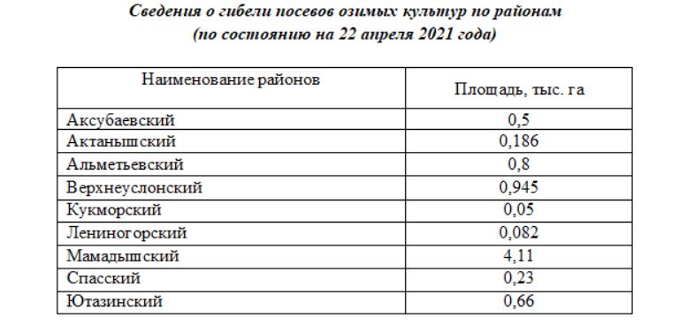 ozimye-v-tatarstane.jpg