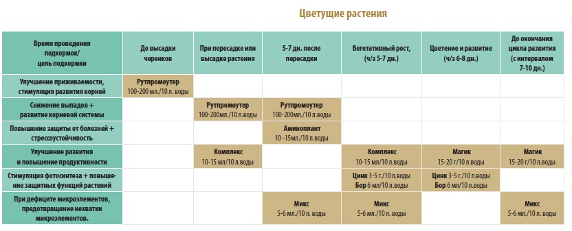 Схема подкормки гортензии