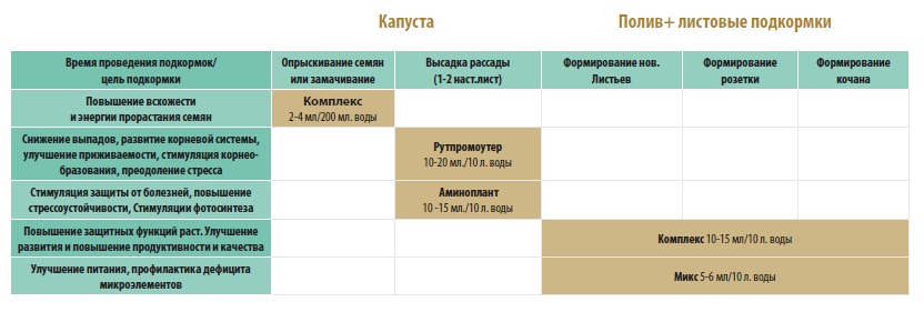 Схема подкормки капусты