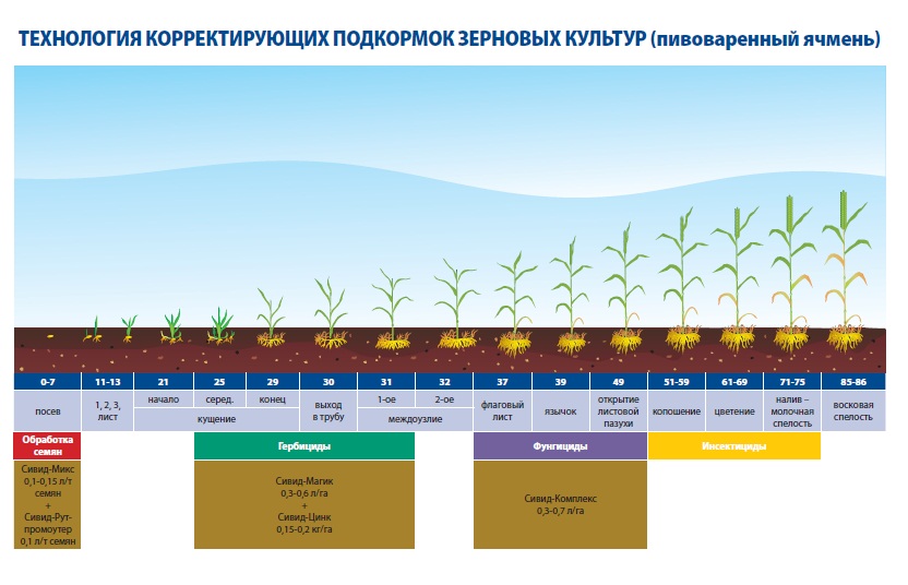 Август схема защиты зерновых