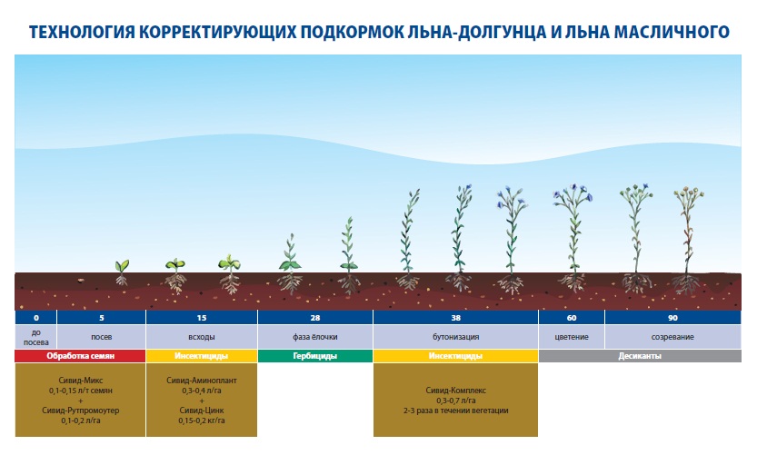 Технологическая схема льна долгунца