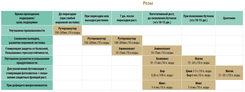 Схема подкормок роз в таблице