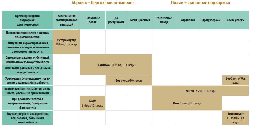 Схема подкормки чеснока