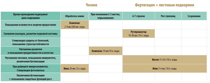 Схема подкормки чеснока