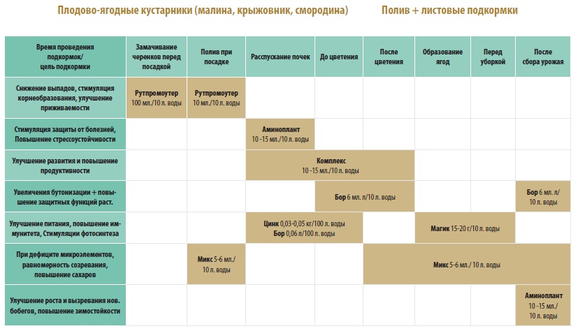 Схема подкормки малины